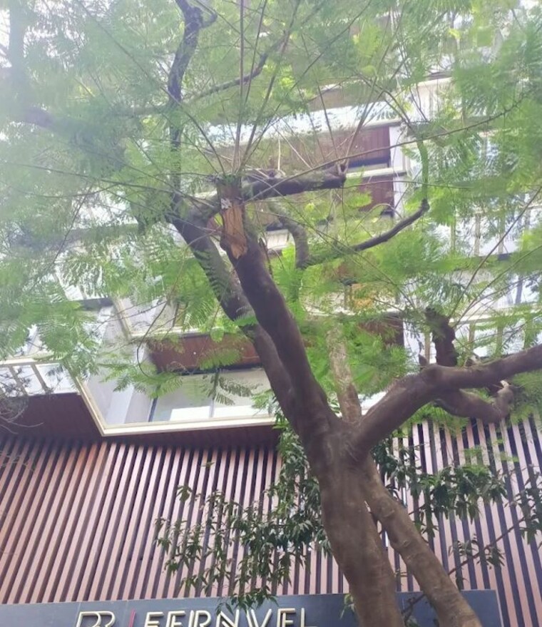 Exterior View, pr-fernvel 4 Bedroom 2400 Sq.Ft. Apartment In Santacruz West Mumbai 10268307