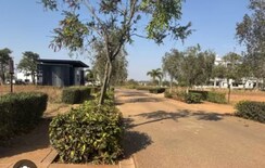 Plot For Sale in Embassy Springs Plots