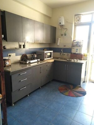 Kitchen in 2 BHK Builder Floor at Uppal Southend, Sector 49 – for Rent