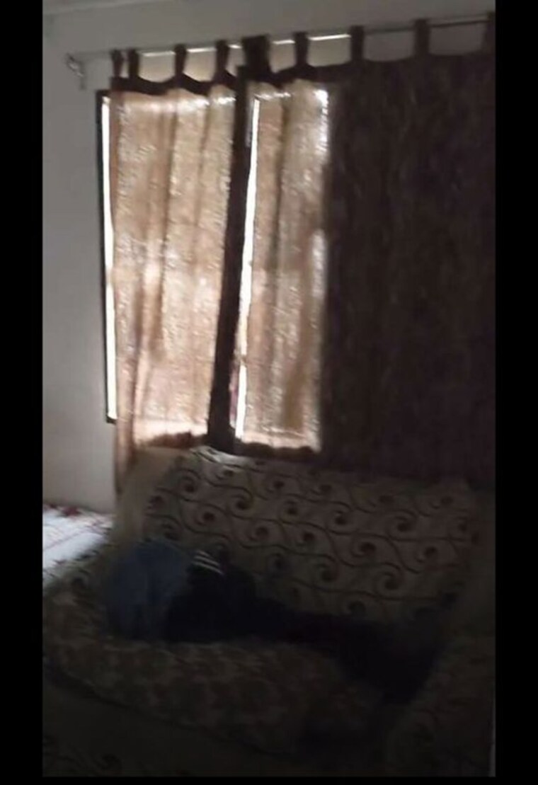 Bedroom, sector 38 2 Bedroom 1000 Sq.Ft. Builder Floor In Sector 38 Chandigarh 10268536