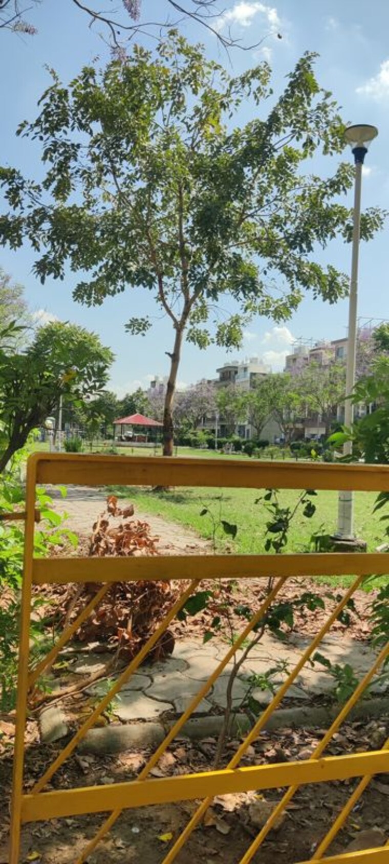undefined, gmada-eco-city  100 Sq.Yd. Plot In North Mullanpur Chandigarh 10263634