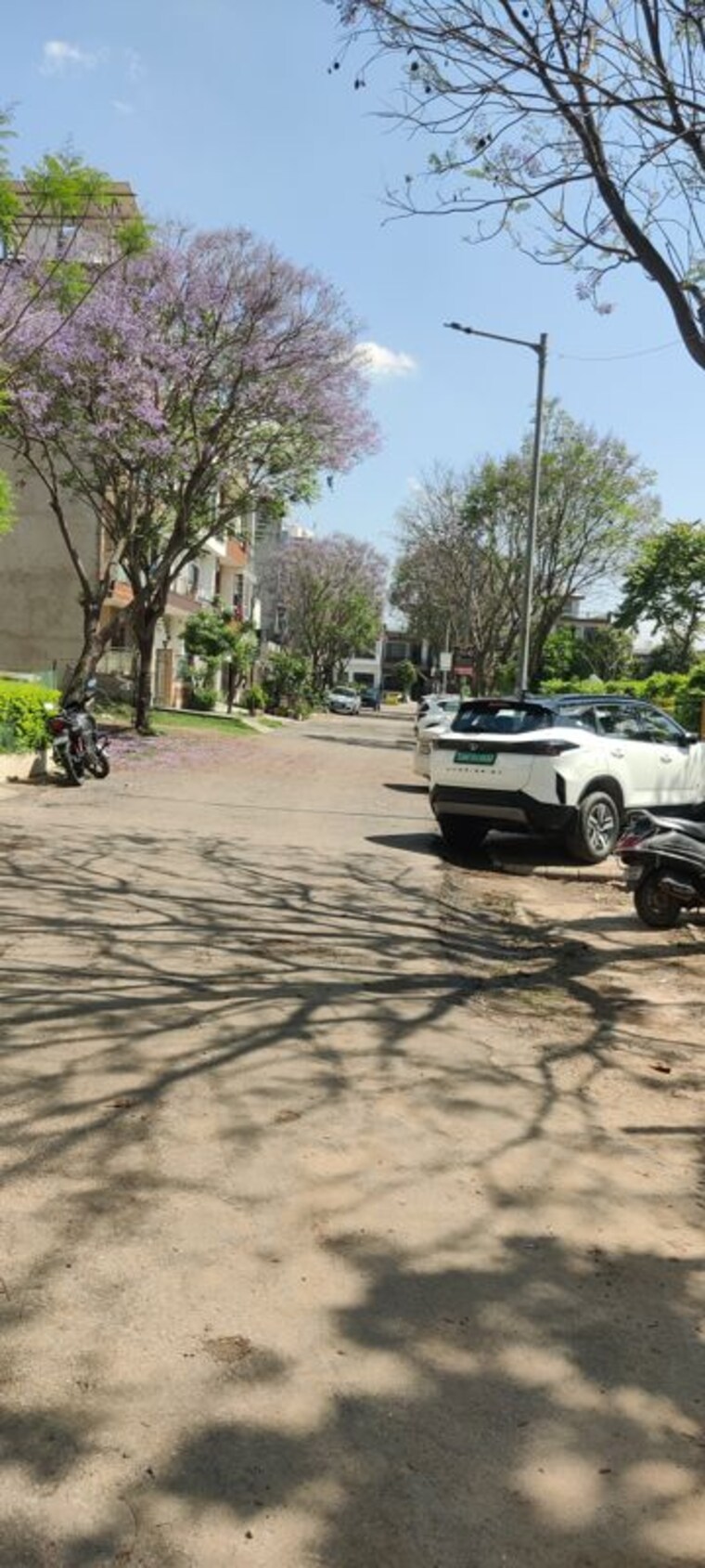 undefined, gmada-eco-city  100 Sq.Yd. Plot In North Mullanpur Chandigarh 10263634