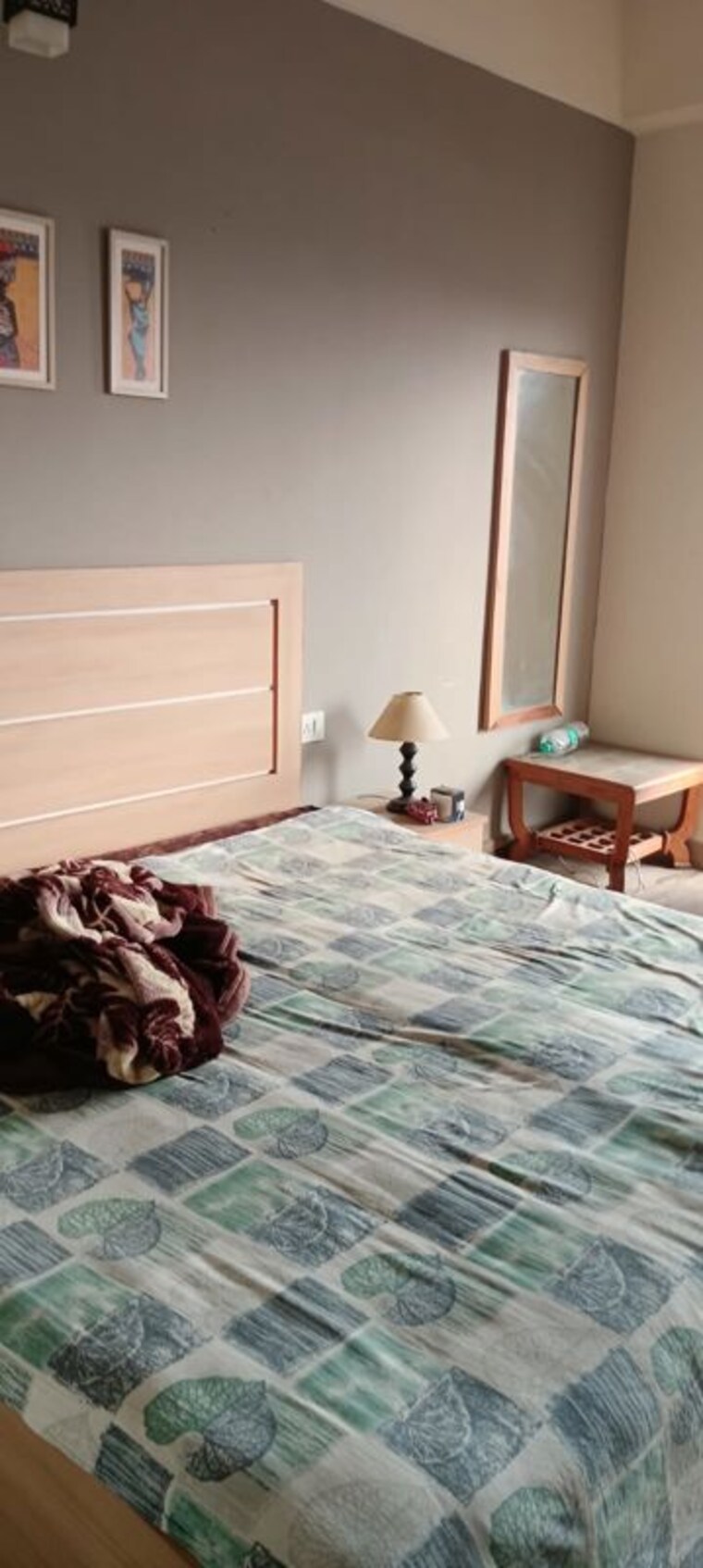  Parking, paramount-golfforeste 1 Bedroom 435 Sq.Ft. Apartment In Zeta I Greater Noida Greater Noida 10268979