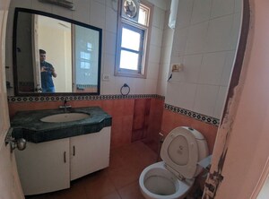 Bathroom in 3 BHK Apartment at Eros Woodbury Tower, Charmwood Village – for Rent