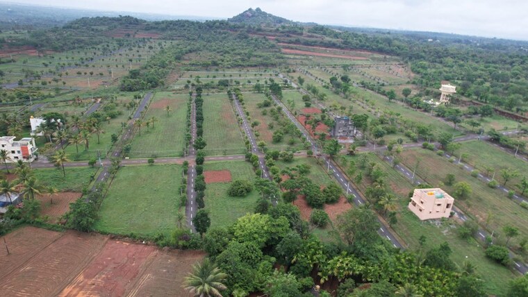 Garden, mysore road  1200 Sq.Ft. Plot In Mysore Road Bangalore 10269276