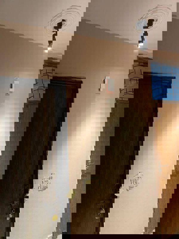 2 BHK 500 Sq.Ft. Apartment in Signature Global Solera 2