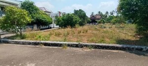 Plot Area in  Plot at Thalore – for Sale