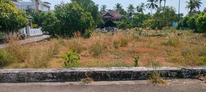 Plot Area in  Plot at Thalore – for Sale