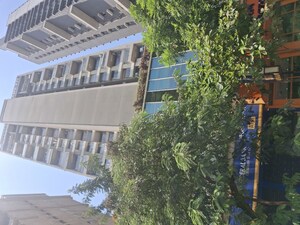 1 BHK Apartment For Rent in Rabale