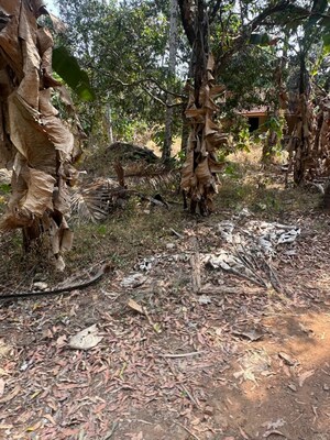  Plot For Sale in Kolazhy