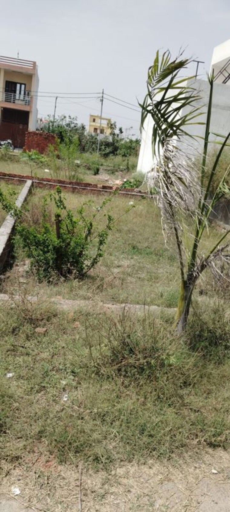 undefined, yashoda kunj  122 Sq.Yd. Plot In Yashoda Kunj Meerut 10269798