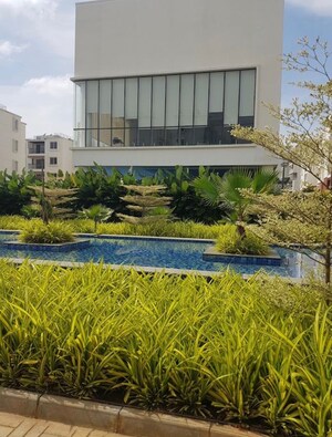 Swimming Pool in 3 BHK Apartment at Prestige Kew Gardens, Bellandur – for Rent