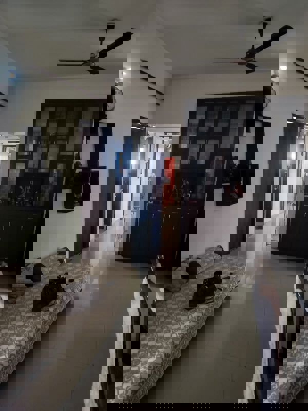 3 BHK 300 Sq.Yd. Builder Floor in Krishna Palace Faridabad