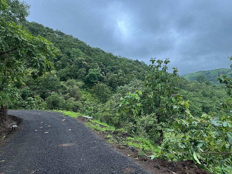 undefined, panshet  80000 Sq.Ft. Plot In Panshet Pune 10270139