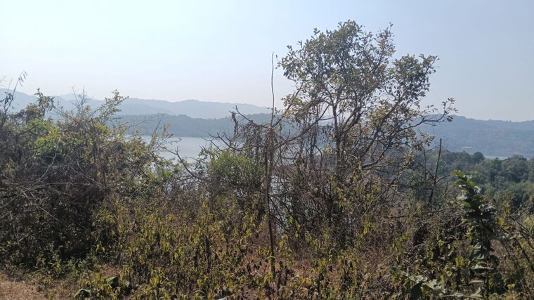 undefined, panshet  120000 Sq.Ft. Plot In Panshet Pune 10270196