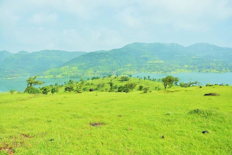 undefined, panshet  120000 Sq.Ft. Plot In Panshet Pune 10270196