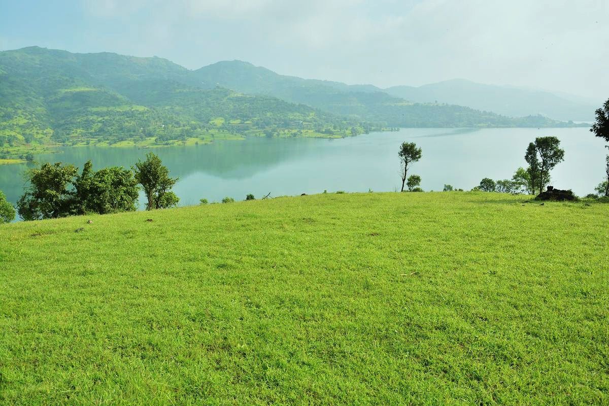 Plot For Sale in Panshet