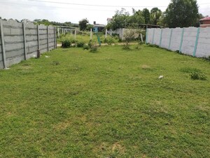  Plot For Sale in Moinabad