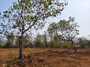 Plot Area in  Plot at Konkan Nagar – for Sale