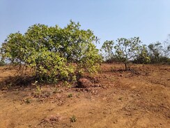 Plot For Sale in Konkan Nagar