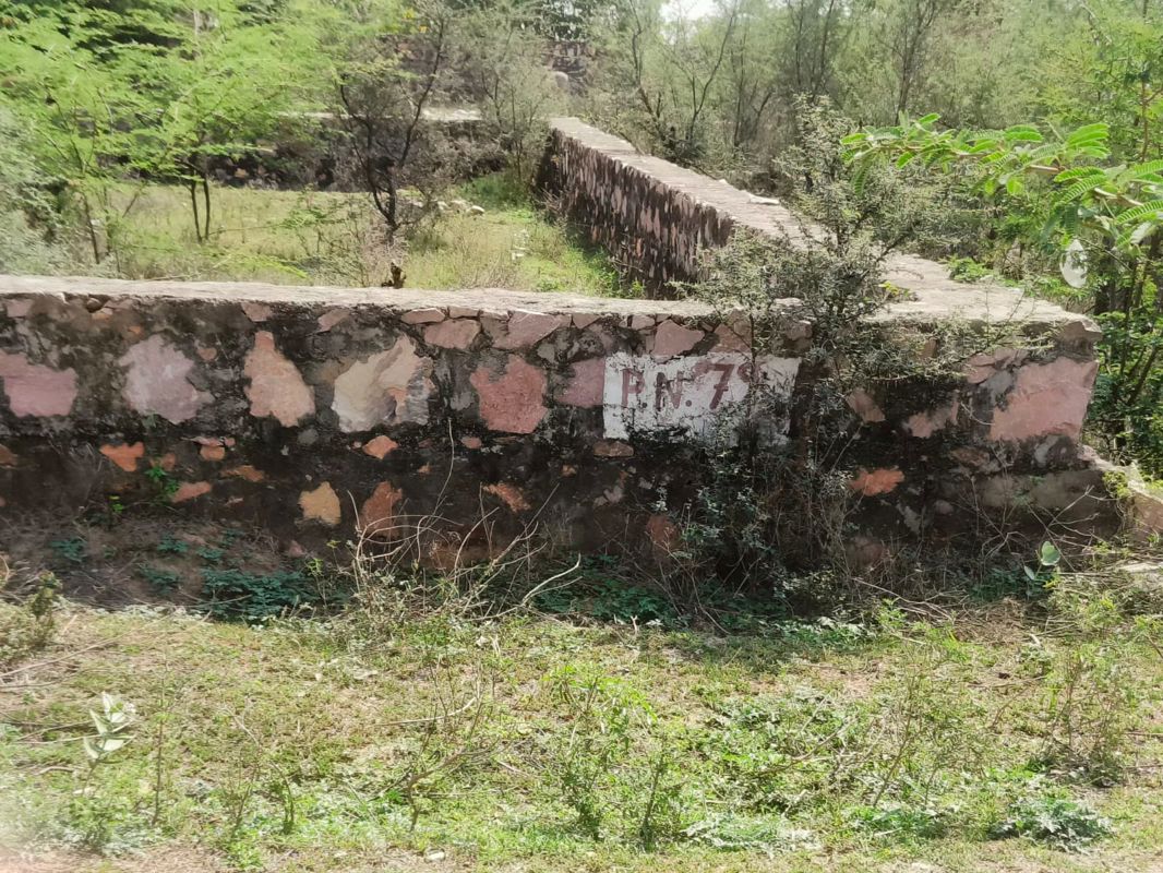 Plot For Sale in Tonk Road