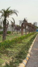 3.5 BHK + Study Room 1595 Sq.Ft. Apartment in JainX Cyber City