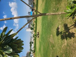 Plot For Sale in JMS The Pearl