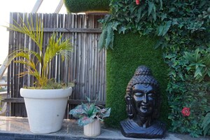 Terrace in 2 BHK Builder Floor at Nehru Enclave – for Rent