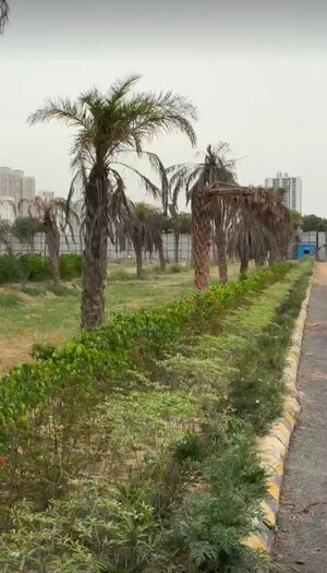 Plot Area in Studio Apartment at JainX Cyber City, Knowledge Park V Greater Noida – for Sale