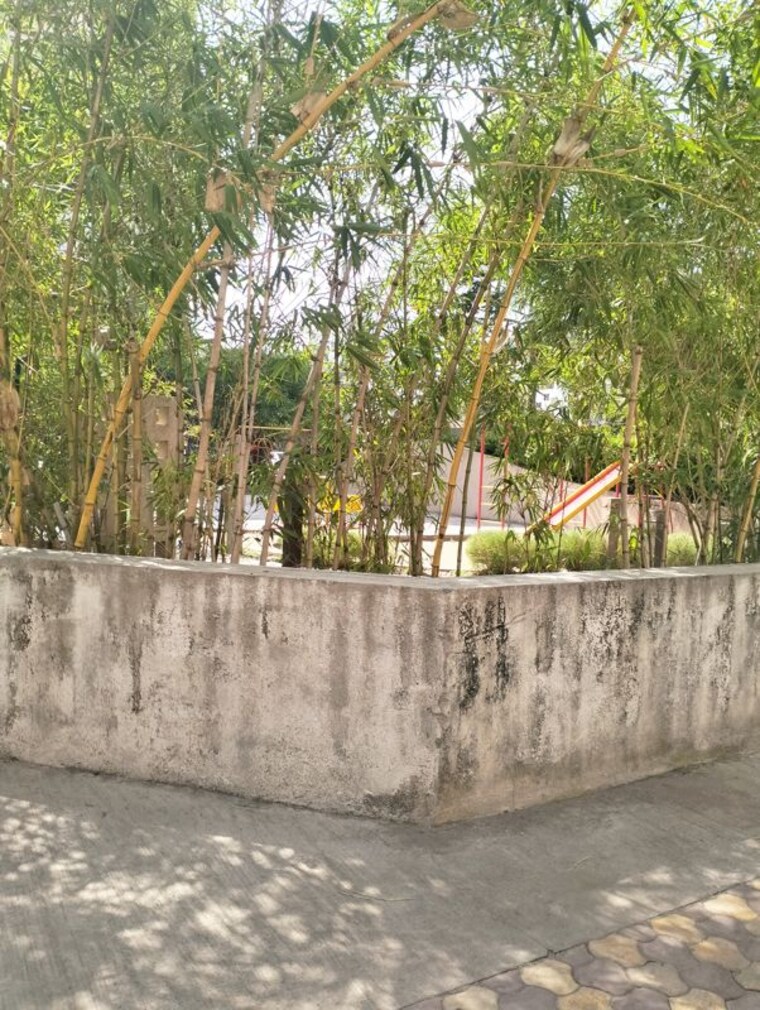 Balcony, parmar-nagar-housing-society 1 Bedroom 555 Sq.Ft. Apartment In Fatima Nagar Pune 10273442