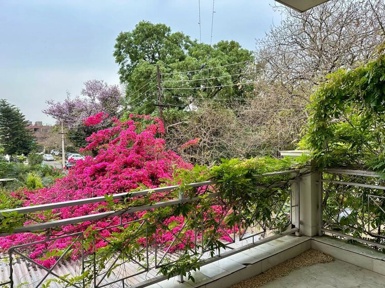 Garden, sector 11 3 Bedroom 500 Sq.Yd. Builder Floor In Sector 11 Chandigarh 10273467