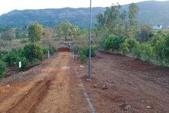 Plot For Sale in Pi Greater Noida