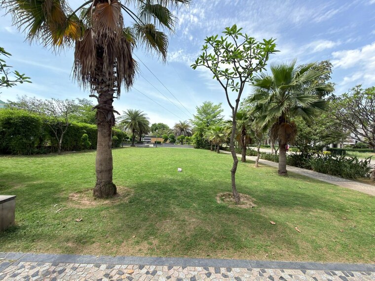 Garden, omaxe-ambrosia 3 Bedroom 1600 Sq.Ft. Builder Floor In North Mullanpur Chandigarh 10273433