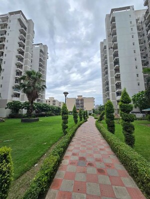 2 BHK Apartment – Exterior View View at NK Sharma Savitry Greens, Lohgarh - for Rent