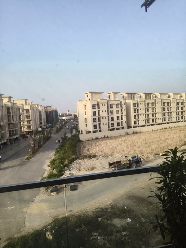 3 BHK Apartment For Rent in Signature Global City