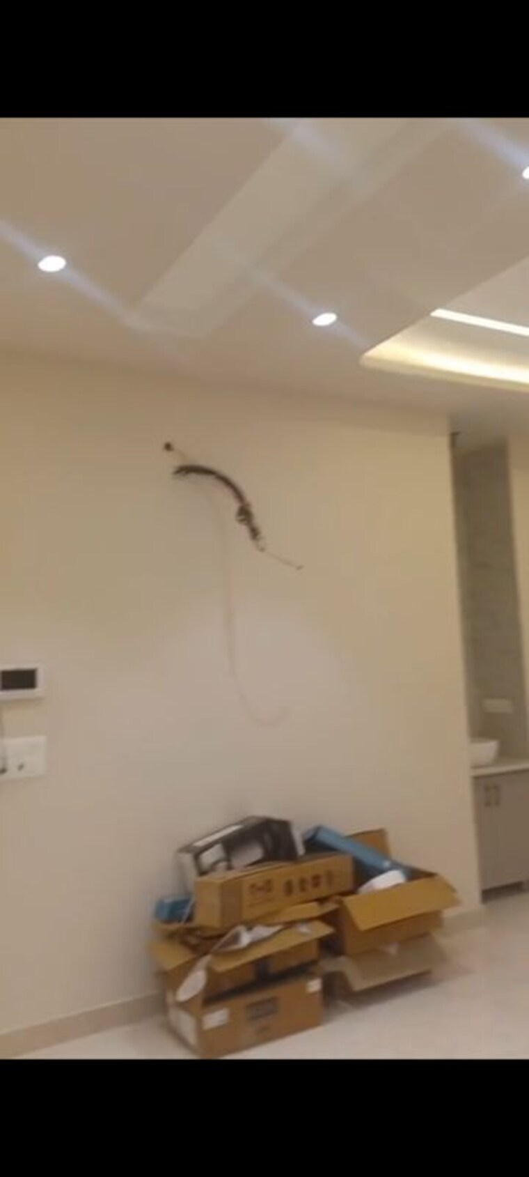 undefined, shalimar bagh 3 Bedroom 1500 Sq.Ft. Builder Floor In Shalimar Bagh Delhi 10274233