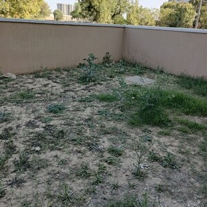 3 BHK Builder Floor – Exterior View View at BPTP Elite Floors, Sector 83 - for Sale