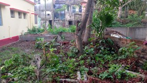 Plot Area in 2 BHK Independent House at Jugberia – for Sale
