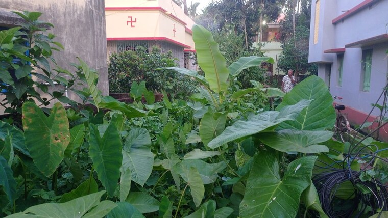 Exterior View, jugberia 2 Bedroom 2160 Sq.Ft. Independent House In Jugberia Kolkata 10274300
