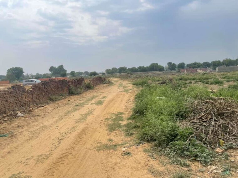 undefined, palm-green  50 Sq.Yd. Plot In Bhanauta Greater Noida 10274354