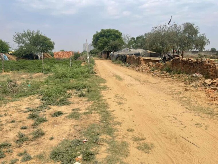 undefined, palm-green  50 Sq.Yd. Plot In Bhanauta Greater Noida 10274354