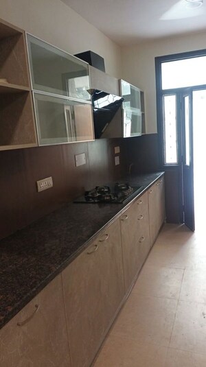 Kitchen in 3 BHK Builder Floor at Sarvodaya Enclave – for Rent