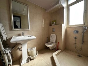 Bathroom in 3 BHK Apartment at Green Park – for Rent