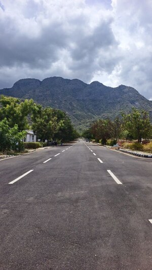  Plot For Sale in Kodaikanal