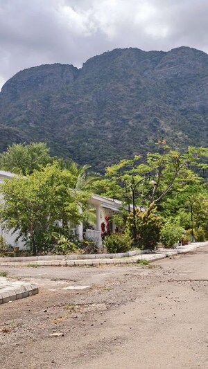 Plot Area in  Plot at Kodaikanal – for Sale