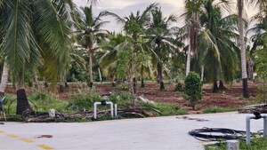  Plot For Sale in Dindugal nh