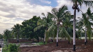 Plot Area in  Plot at Dindugal nh – for Sale