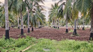 Plot Area in  Plot at Dindugal nh – for Sale