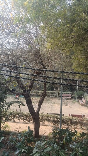 3 BHK Builder Floor – Garden View at Saket - for Rent