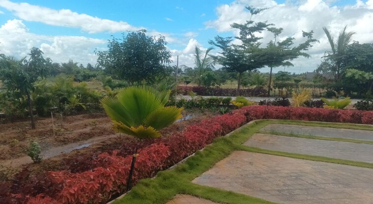 Garden, chikkaballapur  1200 Sq.Ft. Plot In Chikkaballapur Bangalore 10274866
